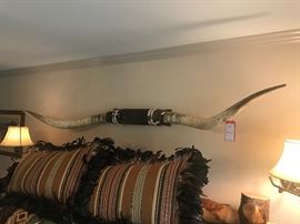 Lot 37: Texas Longhorn Mount