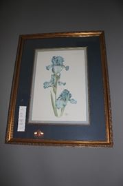 We have a pair of these iris prints.  Beautiful color.