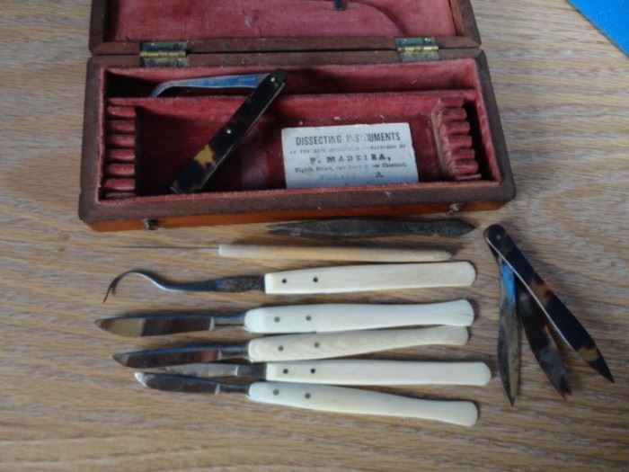 DISSECTING INSTRUMENTS IVORY HANDLES