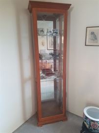 Slim Line Curio Cabinet