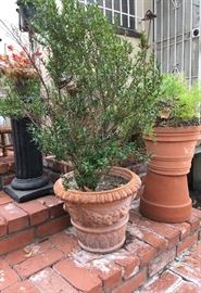 Italian Terra-Cotta Pots