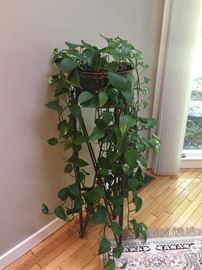 Prof Iron and Tole planters w/live plants