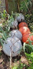 water buoys (?)