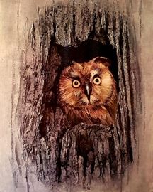 owl wall