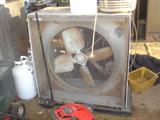 Box Shop Fan #1