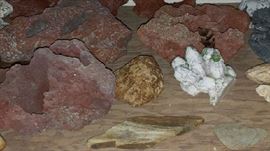 Aquarium Accessories