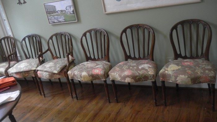 set of 6 dining chairs