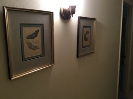 Lots of great pictures and artwork