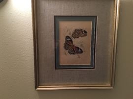 Lots of great pictures and artwork