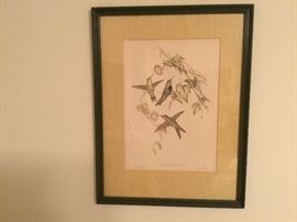 Lots of great pictures and artwork