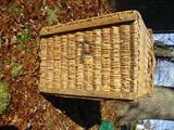 Very Old Wicker Trunk. Letter "p" on bottom. Early, probably pre 1850. Has 2 eye hooks and a shatt and lock on top section.