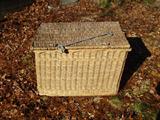 Top view of Wicker Trunk