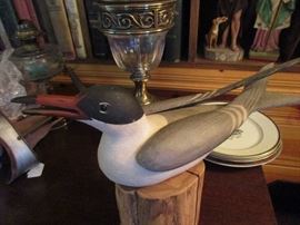 Wonderful signed life size seagull