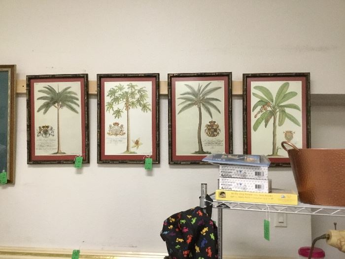Set of palm pictures 