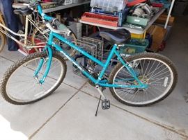 MT-Aspen Pacific Bike