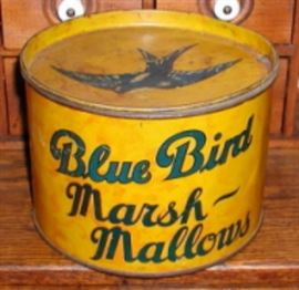Bluebird MM Front