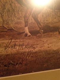  Signed by Bob Moline 