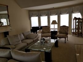 Raw Silk Sofas / Modern Coffee Table