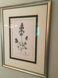 framed botanical print