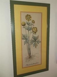 One of two botanical prints