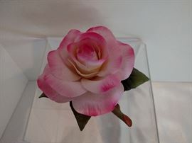 Boehm rose, sorry as is