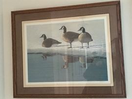 Signed & Numbered print of Canada Geese in winter