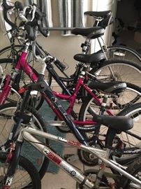 Bicycles ~ Function 13 Hard Bicycle Co., Schwinn, Diamondback, Lemond, Freestyle BMX Haro