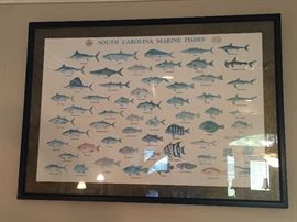 South Carolina Marine Fishes Framed Poster