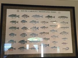 South Carolina Freshwater Fishes Framed Poster