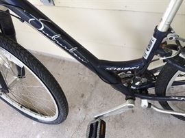 Schwinn Suburban Bike