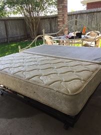 Day Bed with Trundle, Box Spring and Mattress