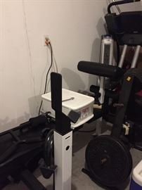 Weider Weight Bench and Weights