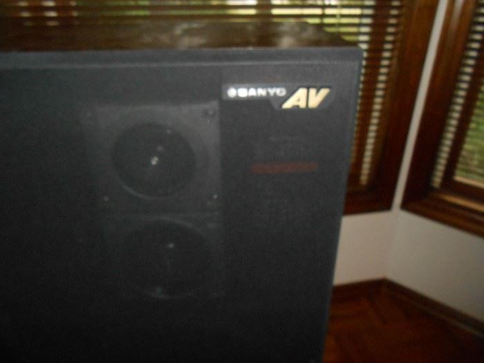 Sanyo AV speakers