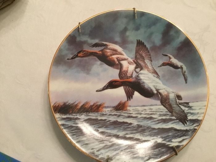 Lots of Duck Decorative plates.