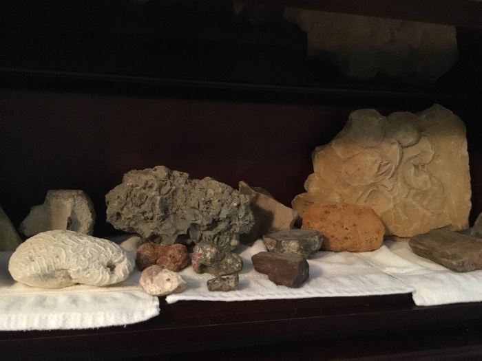 Collection of minerals and fossils.