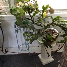 assorted plant stands