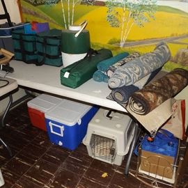 coolers, small area rugs, pet carrier