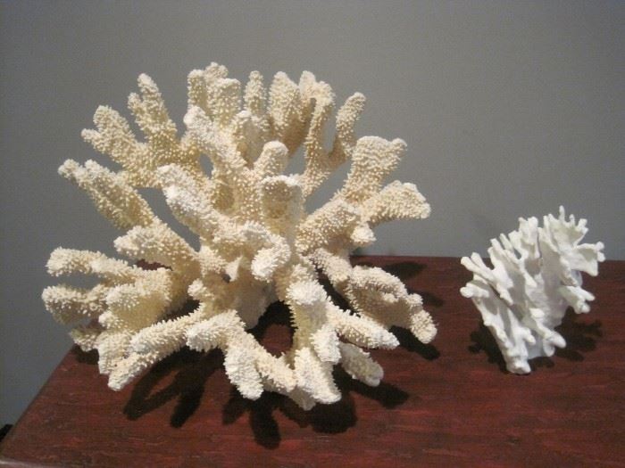 Coral.