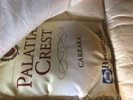 #18 queen size Sealy pillow top mattress set $150.00
#19 Queen broyhill bed frame w tall back $200.00