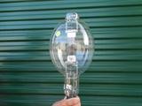 LARGE LIGHT BULB