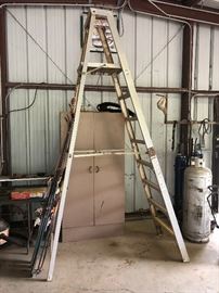 Great tall ladder
