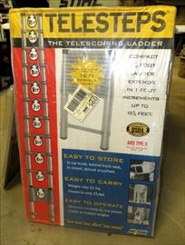 Telesteps Extendable - Extension Ladder