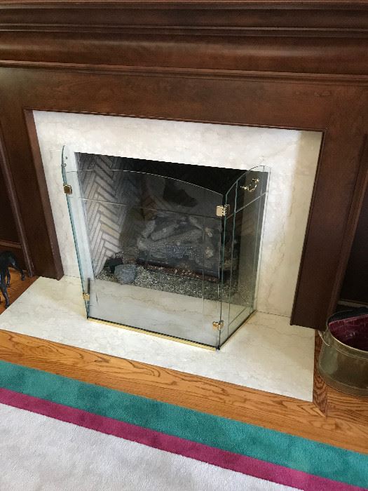 Glass fireplace enclosures (2 available)