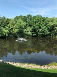 From a room with a view!