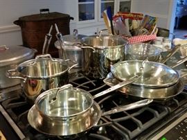 Cookware by Emeril (never used)