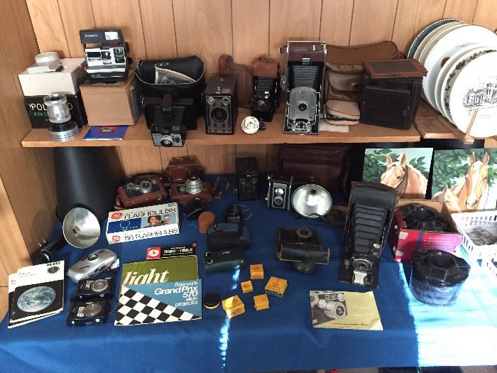 Fun Collection of Digital, Vintage & Antique Cameras for use and your home collection.  Need a polaroid?