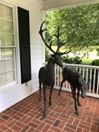 Compare the antler height to the window