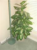 Silk plant with floor lamp.