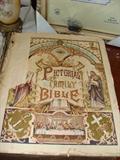 Pictorial bible.
