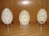 Carved Goose Eggs (Very unique!)
